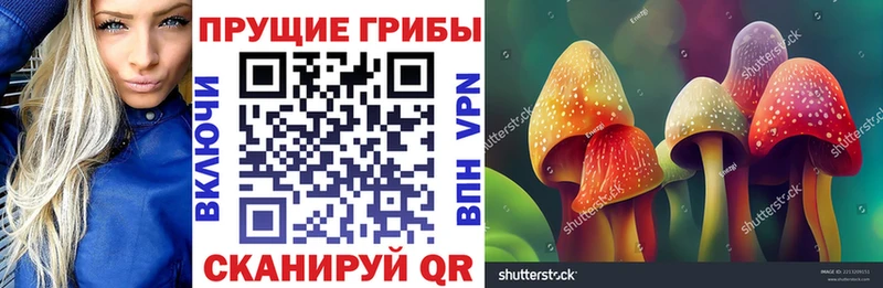 Галлюциногенные грибы мицелий Лихославль