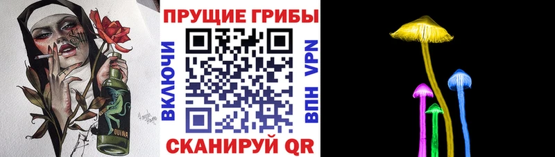 Галлюциногенные грибы Psilocybe omg зеркало Лихославль сколько стоит