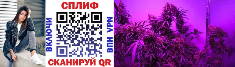 Шишки марихуана Bruce Banner  Лихославль 